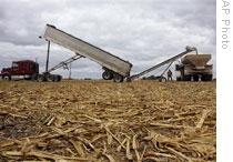 Farmers in Illinois move fertilizer to a field spreader on a newly harvested cornfield