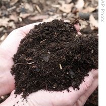 Homemade compost that is made from kitchen and garden waste