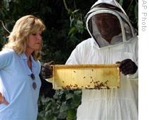 A couple in Wilmington, Ohio, look over the honeycombs in their beehives last month